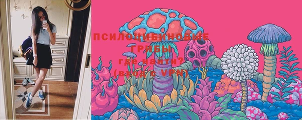 прущий лед Инсар