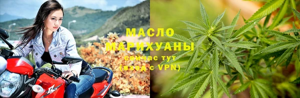 прущий лед Инсар