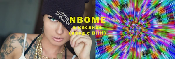 прущий лед Инсар