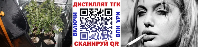 ТГК гашишное масло  Купить где  Камышлов 