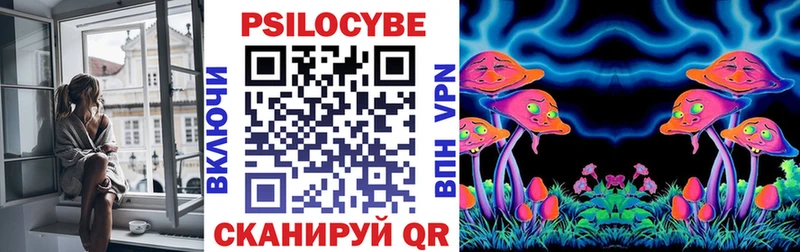 Купить закладки Камышлов Псилоцибиновые грибы Magic Shrooms