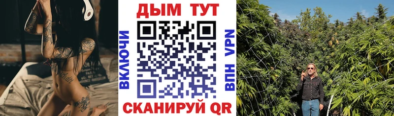 Купить закладки  Камышлов  Бошки Шишки THC 21% 